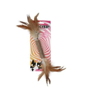 Addicted Stick with Caterpillar and feathers