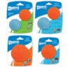 Chuckit Fetch Ball